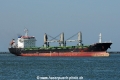Phoenix OS-160414-01.jpg
