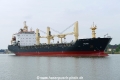Pichon (OK-100922-2).jpg