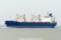 Pioneer Skipper (KK-080217-0).jpg