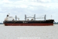 Pelican Arrow (KK-070716-2).jpg