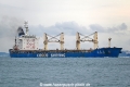 Shi Long Ling OS-121022-04.jpg