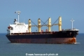 Pelagiani (US-120916-0).jpg