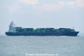Northern Vivacity OS-201017-04.jpg