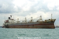 Phoenix M (FN200-059.jpg