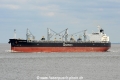 Pelican Arrow JG-070716-01.jpg
