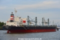 Pegasus (KB-D280919-02).jpg