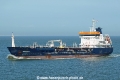 Versutius HK-010523.jpg