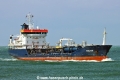 Versutius TL-051022-2.jpg