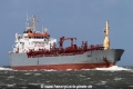 Willy SH-140414-01.jpg