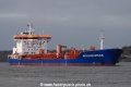 Weichselstern (JS-231014-11).jpg