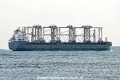 Yong Xing OS-251024-2.jpg