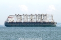 Yong Xing OS-251024-1.jpg