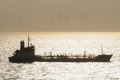 Wafi 1 181208-01.jpg