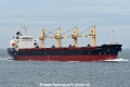 Prime Star HK-271022-1.jpg