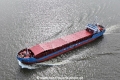 Wilson Onega 060424-1.jpg