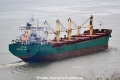Puffin HK-041114.jpg