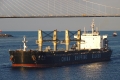Qing Ping Shan (LW-131016-01).jpg