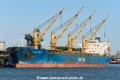 Star Maia (MM-140725-1).jpg