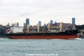 Punta (OK-040214-0).jpg