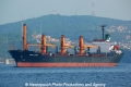 Quiet Lady (OK-270913-0).jpg