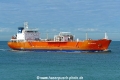 Syn Antares (MB-151026-3).jpg