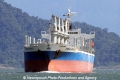 Ansac Grace RV-260512-04.jpg