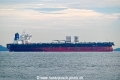 New Vitality OS-091022-11.jpg