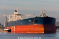 Niban (MM-010619-1).jpg