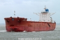 Cape Lambert SH-190614-01.jpg