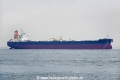 Olympic Lion OS-231016-07.jpg