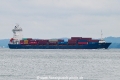 Asiatic King OS-101022-04.jpg