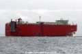Glovis Cardinal (KK-050716-4).jpg