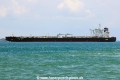 New Splendor (MS-130424-06).jpg