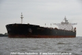 Cape Elise 081014-04.jpg