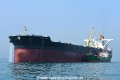 Olympic Target OS-291017-26.jpg