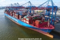 COSCO Shipping Scorpio (KB-D310823-01).jpg
