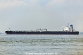 New Champion OS-291018-05.jpg