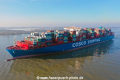 Cosco Shipping Pisces 260219-03.jpg