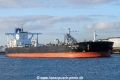 New Treasure SH-280822-01.jpg
