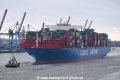 Cosco Shipping Taurus 090318-06.jpg