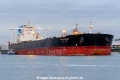 New Courage SH-140424-01.jpg