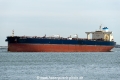 North Loyalty SH-060424-01.jpg