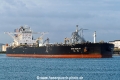 New Wealth SH-010625-01.jpg