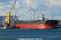 Cape Laurel TL-020521-2.jpg
