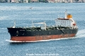 Blue Marlin HK-250618.jpg
