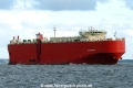 Glovis Cardinal (KK-050716-2).jpg