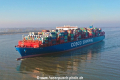 Cosco Shipping Pisces 260219-01.jpg