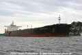 Cape Elise 081014-14.jpg