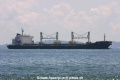 Annita (MS-101008-01).jpg