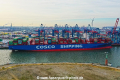 Cosco Shipping Nebula KH-301118-02.jpg